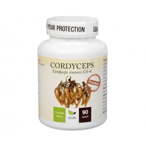 Cordyceps Premium 90 Kapseln